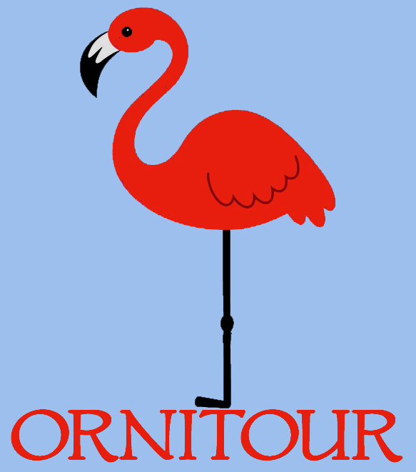 logoornitour blue ritagliato