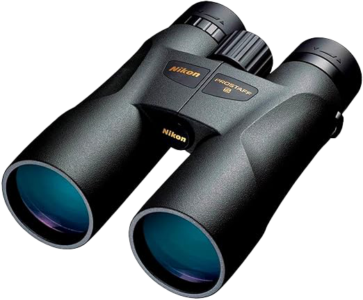 binocolo