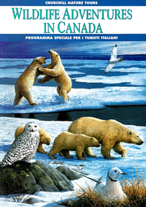 wildlifecanada