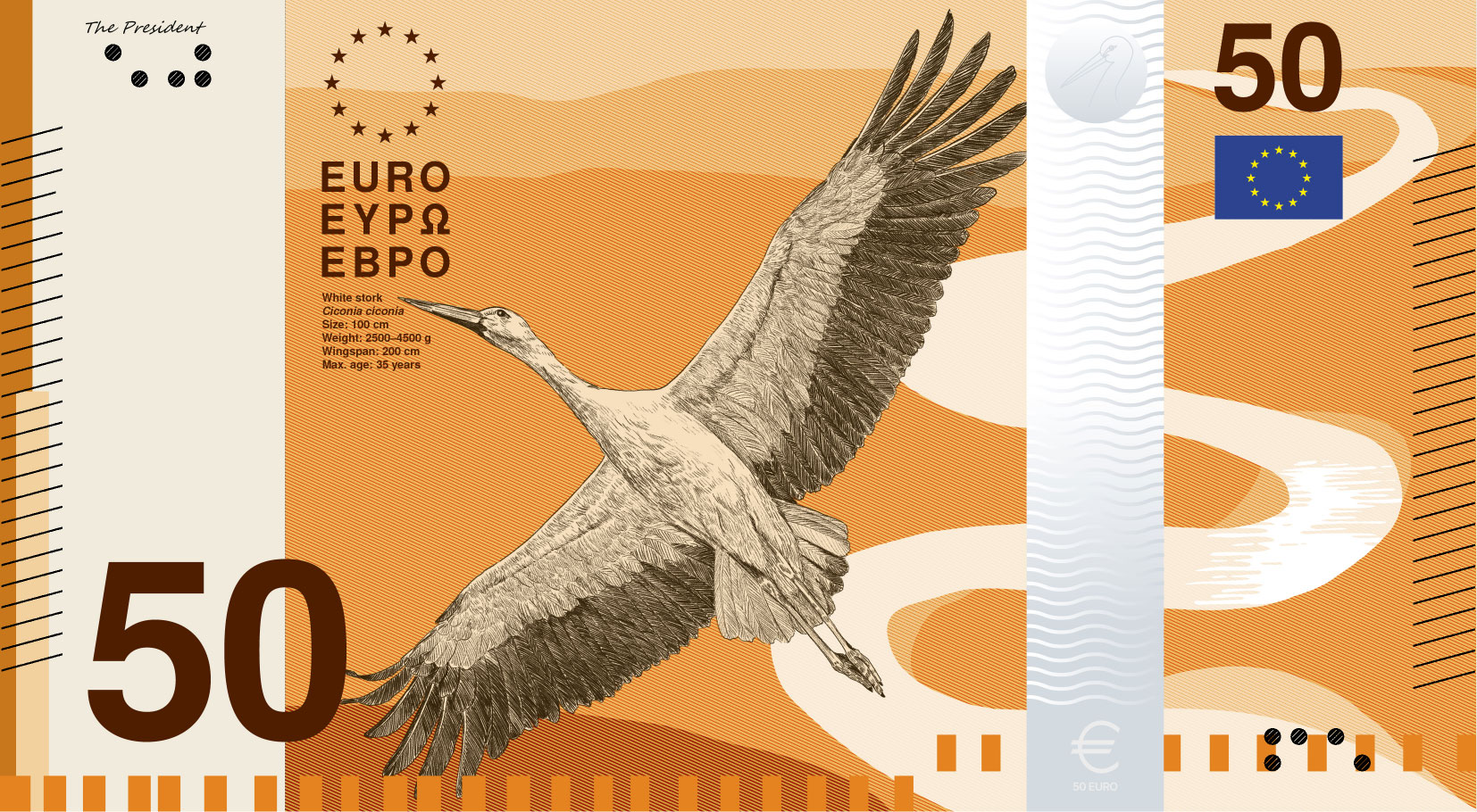 banknote design proposal b 50 front