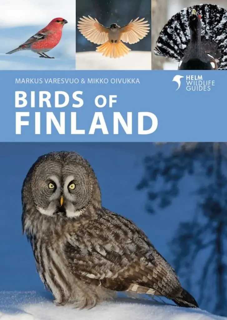 birdsoffinland