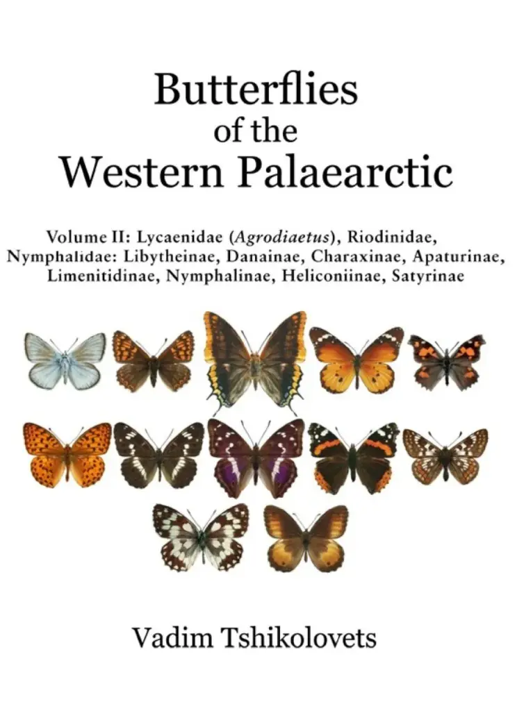 butterflies