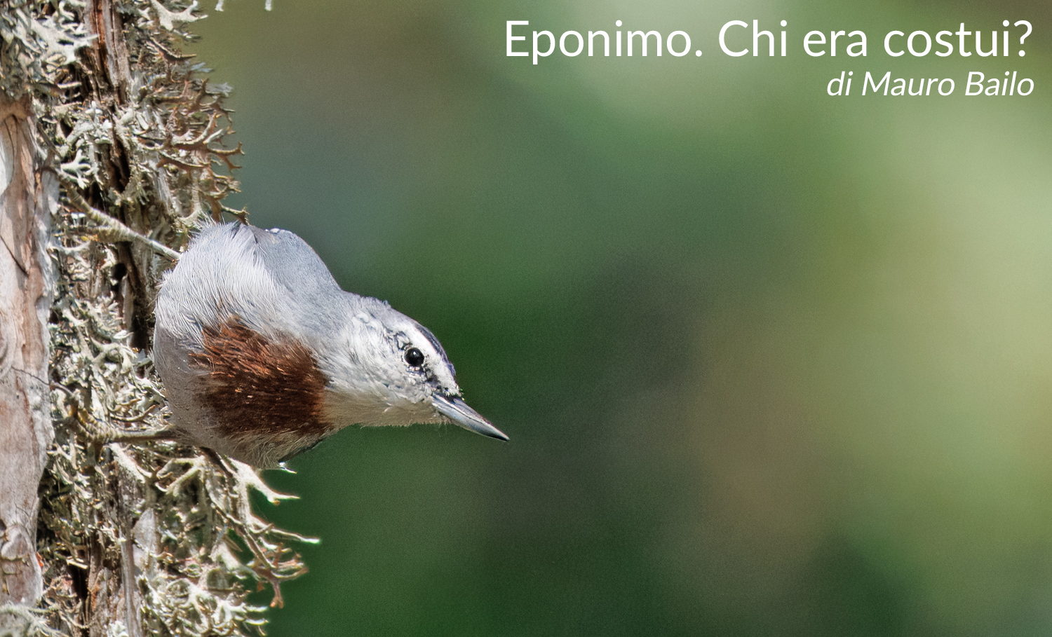 eponimoter