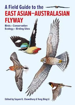flyway