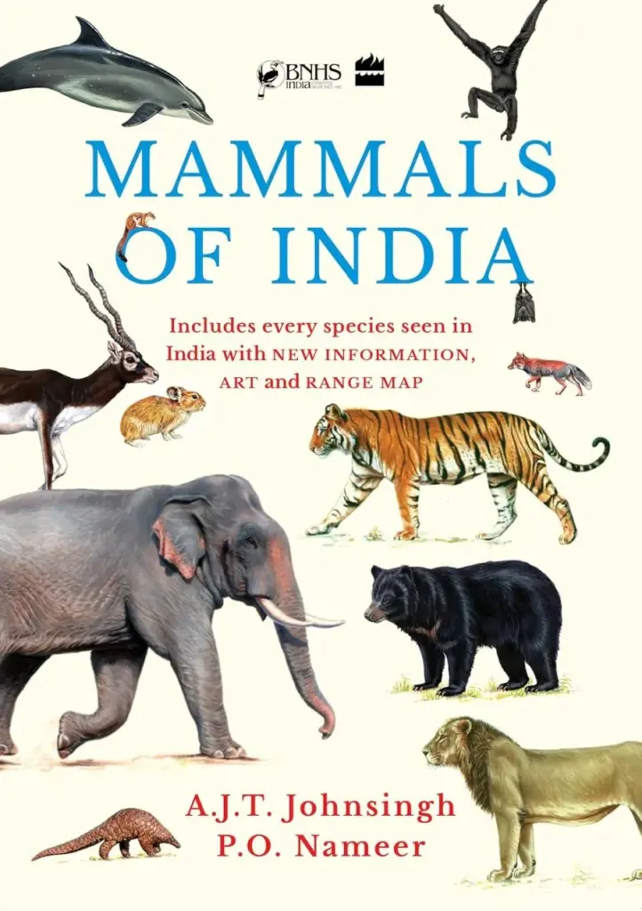 mammalsindia