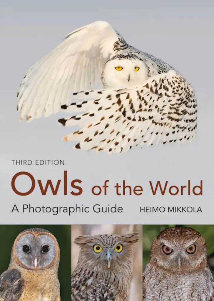 owls