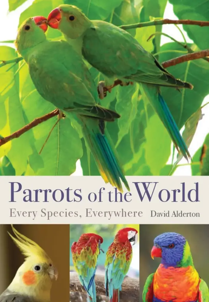 parrotsoftheworld
