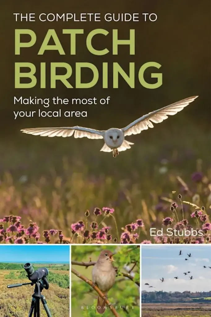 patchbirding