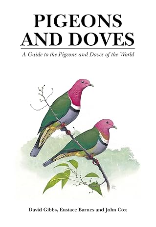 pigeons