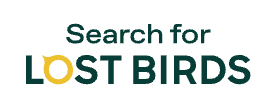 searchlogo