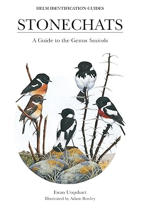 stonechats