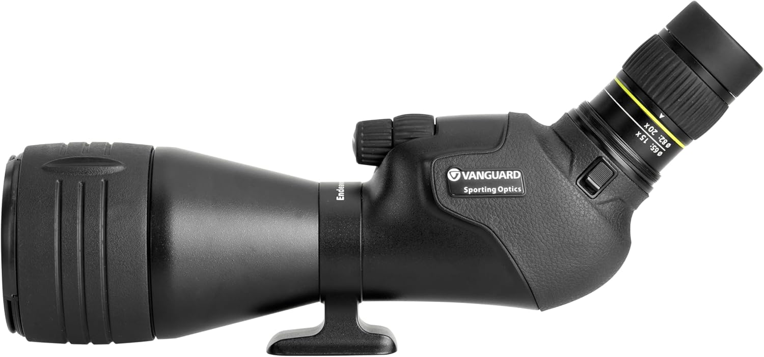 vanguard